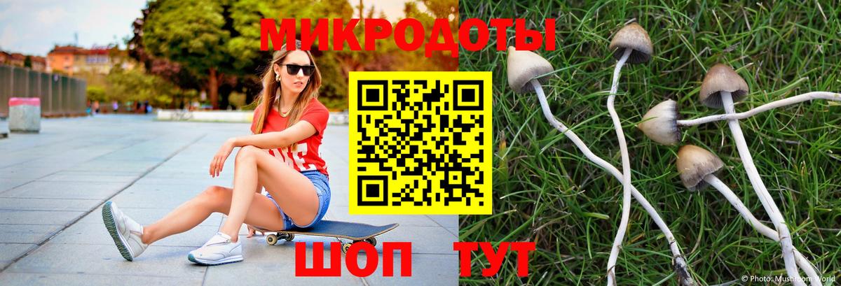 Псилоцибиновые грибы мухоморы Зеленокумск